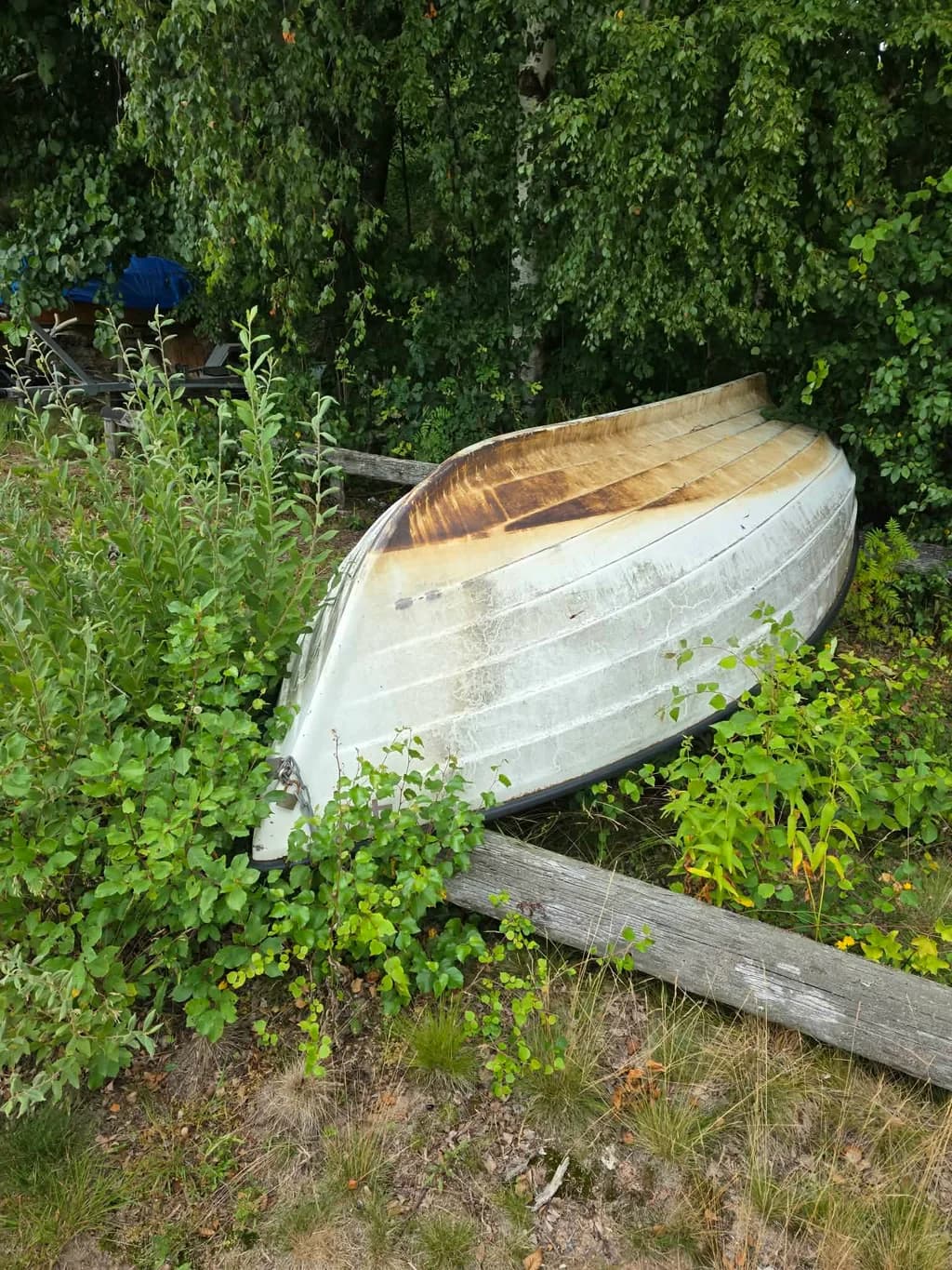 Plasteka modell som liknar smögen 45 - div skavanker